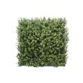 Kunsthecken-Paneel Leah Buxus 100x100cm