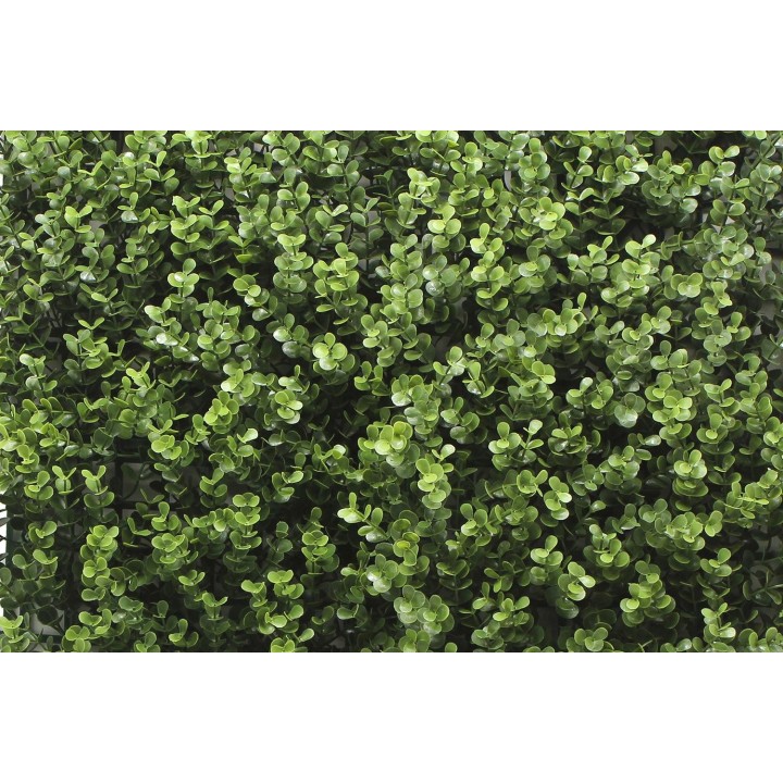 Kunsthecken-Paneel Leah Buxus 100x100cm