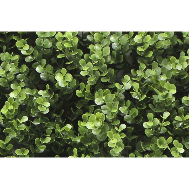 Kunsthecken-Paneel Leah Buxus 100x100cm