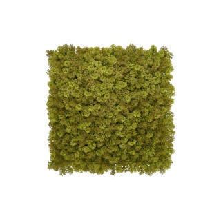 Kunsthecken-Paneel Kate Moos 100x100cm für anspruchsvolle Begrünung