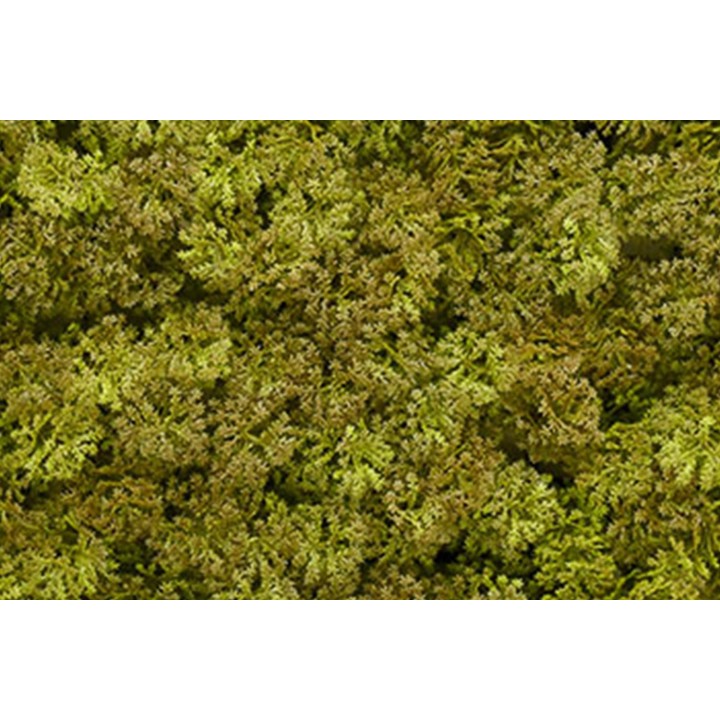 Kunsthecken-Paneel Kate Moos 100x100cm für anspruchsvolle Begrünung