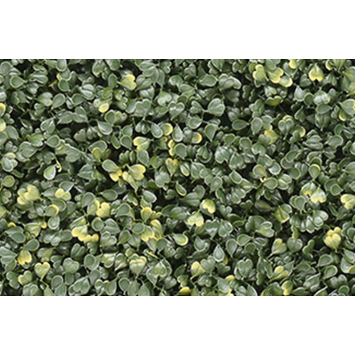 Emma Buxus Kunstpflanzen-Paneel - UV-stabil & Pflegeleicht