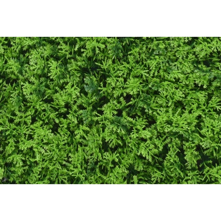 Künstliche Zypressenhecke Charlotte - 100x100cm