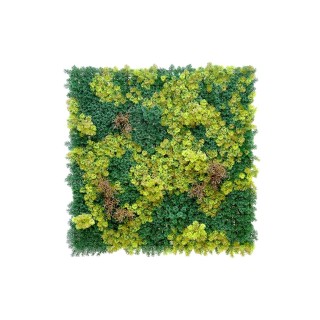 Abbey Moos Kunstpanel - 100x100cm