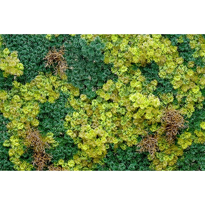 Abbey Moos Kunstpanel - 100x100cm