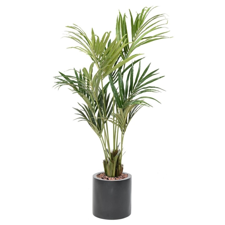 Premium Kentia-Palme Eco Arrangement mit Zylinder-Pflanzgefäss