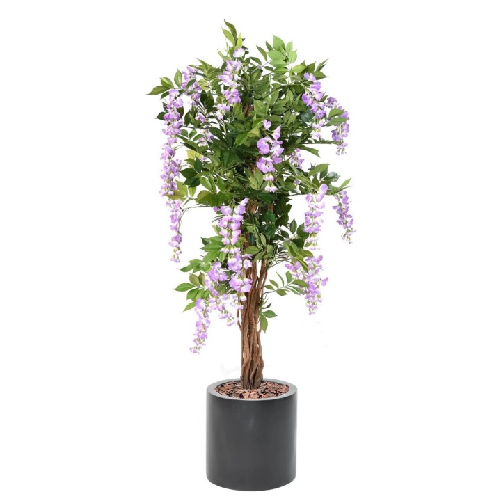 Exklusives Wisteria-Arrangement im Zylinder-Pflanzgefäss