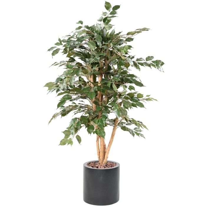 Premium Ficus Benjamina Kunstpflanze im Zylinder-Pflanzgefäss