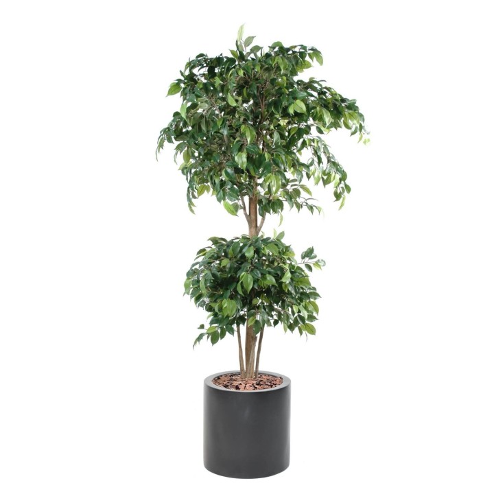 Ficus Kunstbaum Doppel-Kugel – Komplettes Arrangement mit Design-Topf