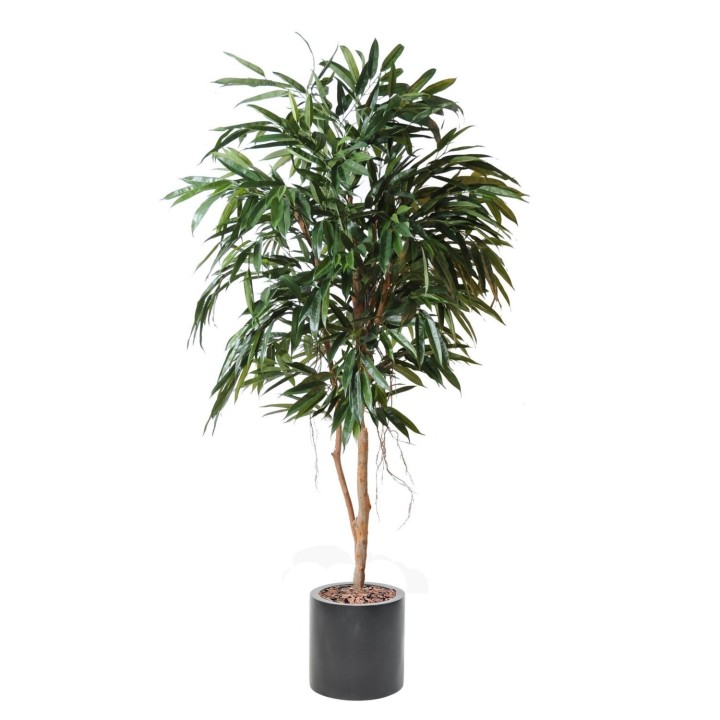 Exklusives Kunstpflanzen-Arrangement Ficus Alii Royal mit Zylinder-Gefäss