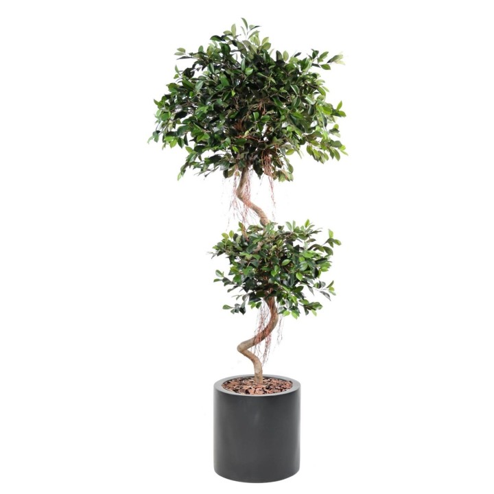 Ficus Spirale Kunstpflanze mit zwei Kugeln - Dekoratives Arrangement im Topf