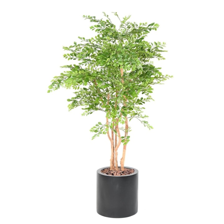 Premium Akazien-Kunstpflanze im Zylinder-Pflanzgefäss