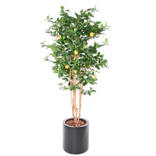 Kunst-Zitronenbaum Arrangement im zylindrischen Gefäss - 195 cm