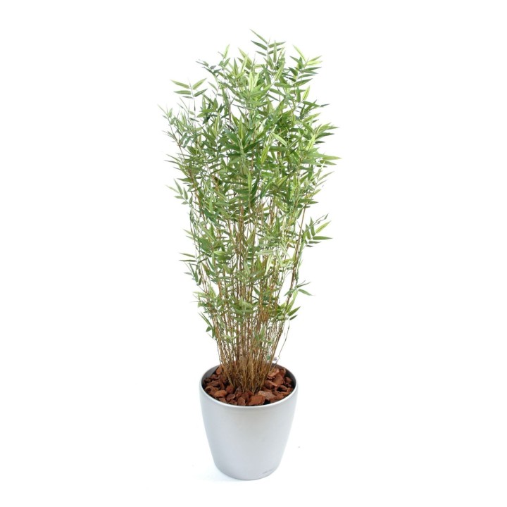 Exklusives Bambus-Arrangement mit mehreren Stämmen im runden Pflanztopf