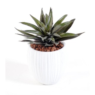 Sukkulenten-Arrangement Kunstpflanze im Design-Topf