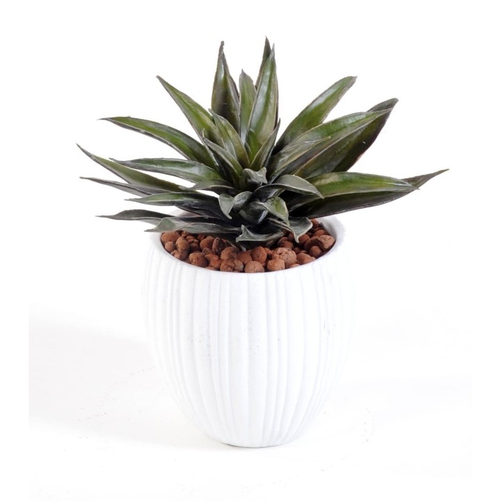 Sukkulenten-Arrangement Kunstpflanze im Design-Topf