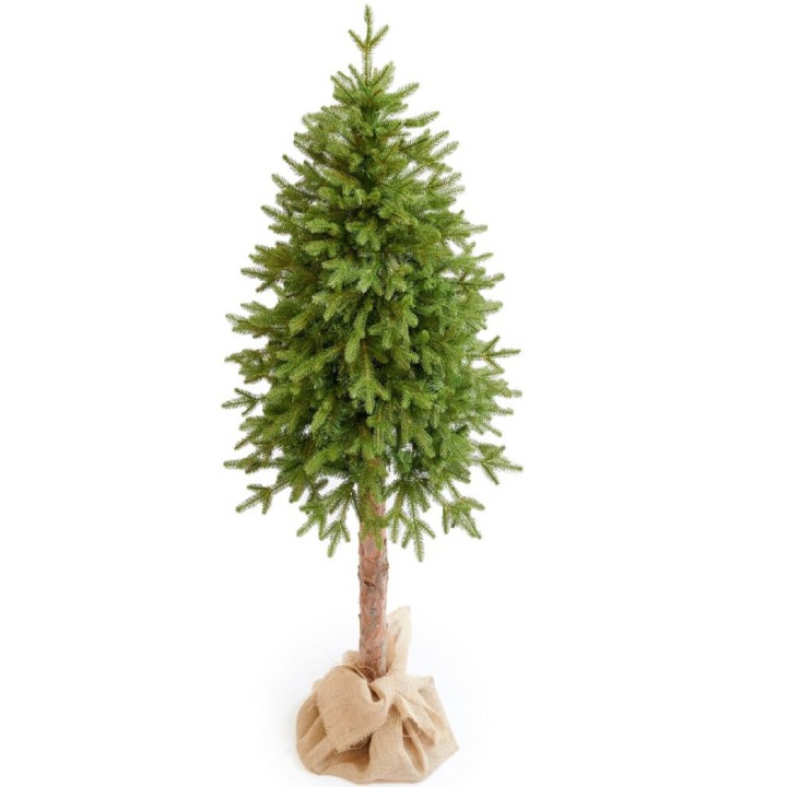 Realistischer Weihnachtsbaum Norfield mit Naturstamm - 220 cm