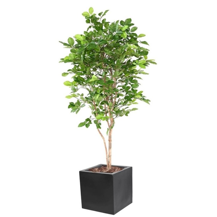 Künstlicher Buchenbaum Grandifolia Arrangement mit Pflanztopf