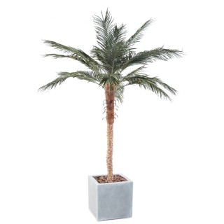 Luxuriöse Kunst-Phoenixpalme im Quadrat-Pflanzgefäss – 220 cm