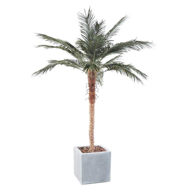 Luxuriöse Kunst-Phoenixpalme im Quadrat-Pflanzgefäss – 220 cm
