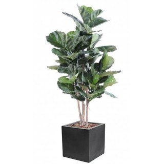 Künstliche Geigenfeige Stammform im Pflanzgefäss - Exklusiv-Arrangement