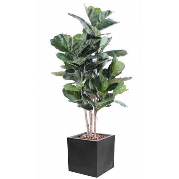 Künstliche Geigenfeige Stammform im Pflanzgefäss - Exklusiv-Arrangement