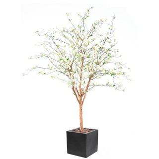 Grosses Kirschbluetenbaum Arrangement im stilvollen Pflanztopf