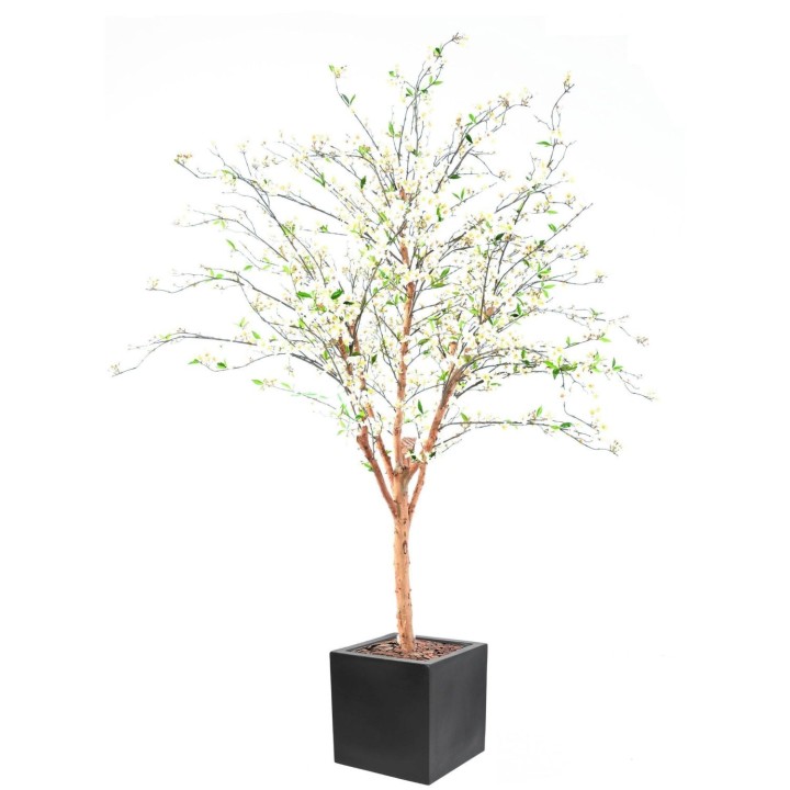 Grosses Kirschbluetenbaum Arrangement im stilvollen Pflanztopf