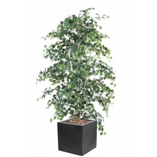 Kunst-Buchenbaum Arrangement im quadratischen Gefäss - 190 cm