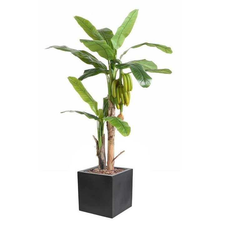 Exklusives Kunstpflanzen-Arrangement: Bananenbaum mit Früchten im Topf