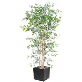 UV-resistenter Japanischer Bambus im quadratischen Pflanztopf-Arrangement