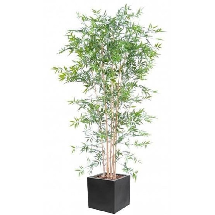 UV-resistenter Japanischer Bambus im quadratischen Pflanztopf-Arrangement