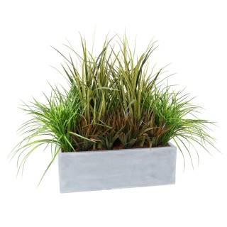 Kunstvolles Ziergras Arrangement mit Topf und Veredelung