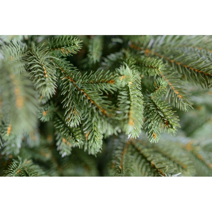 Spritzguss Nobilis Edeltanne Premium 210cm