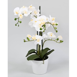Künstliche Phalaenopsis Orchidee im Topf, weiss, 70 cm