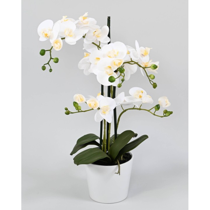 Künstliche Phalaenopsis Orchidee im Topf, weiss, 70 cm
