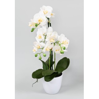 Elegante Kunst-Orchidee Phalaenopsis, Weiss, 60 cm