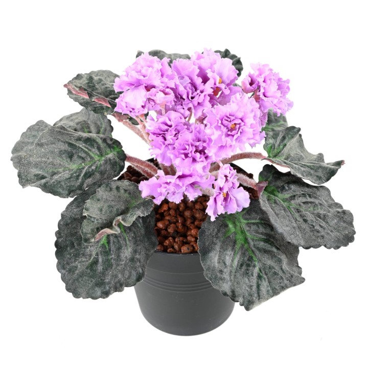 Kunst-Usambaraveilchen 'Violett', 30 cm