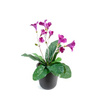 Kunst-Streptocarpus Fuchsia 38cm