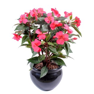 Künstliches Fleissiges Lieschen in Fuchsia, 40 cm