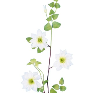 Deko Clematis Stiel, 107cm, Weiss