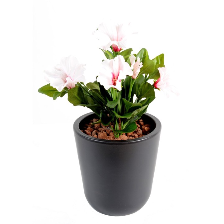 Künstliche Petunie Weiss-Rosa, 25cm