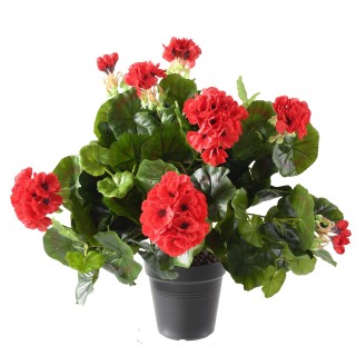 Lebensechte Kunst-Geranie Rot, 35 cm