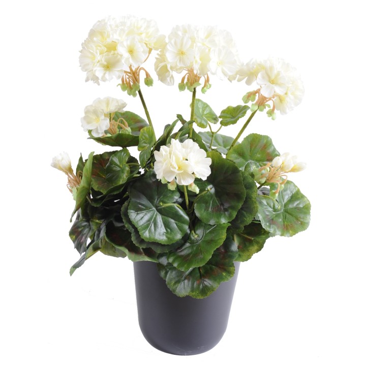 Künstliche Geranie weiss 40cm