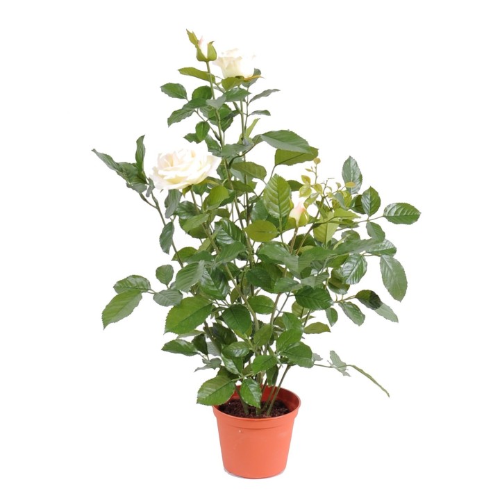 Edle Künstliche Königrose Weiss - 60 cm