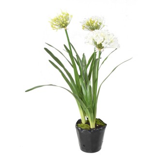 Agapanthus Kunstpflanze im Topf, 90 cm, Weiss