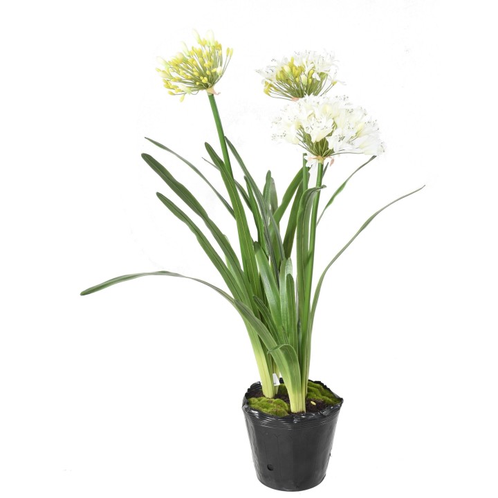 Agapanthus Kunstpflanze im Topf, 90 cm, Weiss