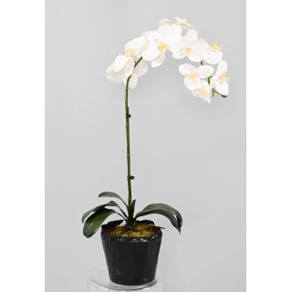 Künstliche Phalaenopsis Orchidee Weiss 60cm