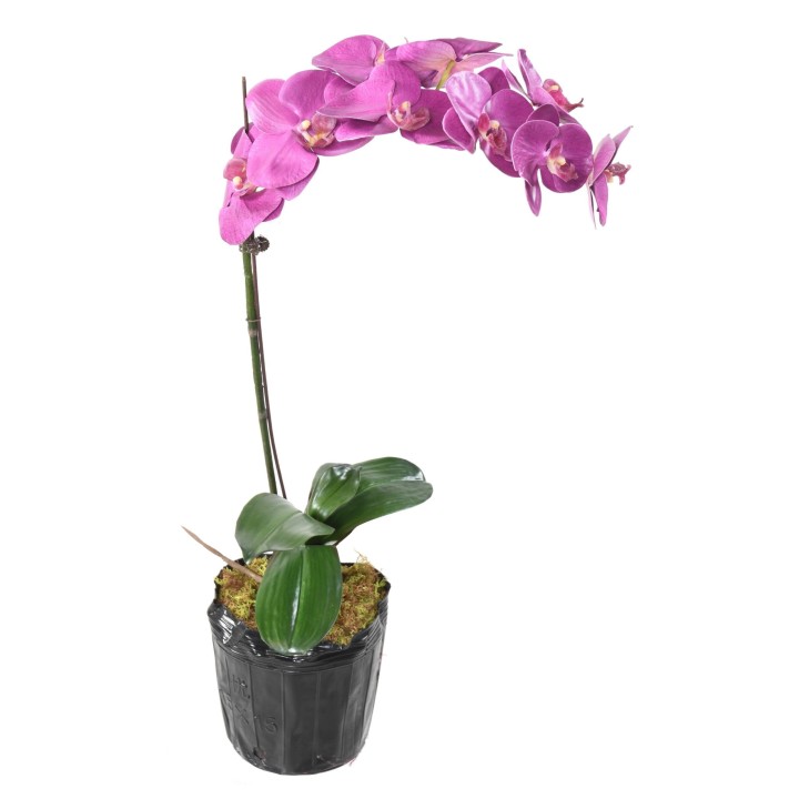 Exquisite Kunst-Phalaenopsis Orchidee Fuchsia - 60cm