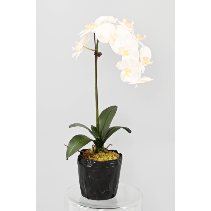 Phalaenopsis Kunstorchidee, Weiss, ca. 85 cm Hoch